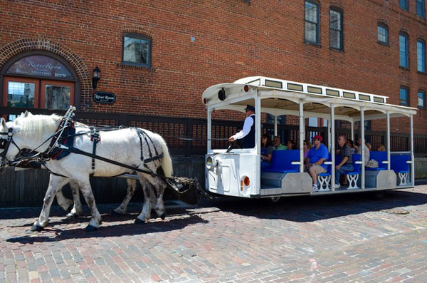 horse-drawn-tours-attraction